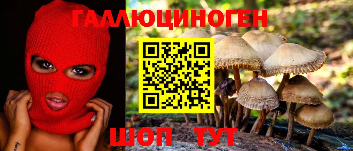 Галлюциногенные грибы ЛСД Тимашёвск